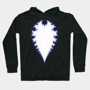 20150123-001 Inverted Mandelbrot Hoodie